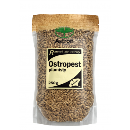 ASTRON Ostropest plamisty...